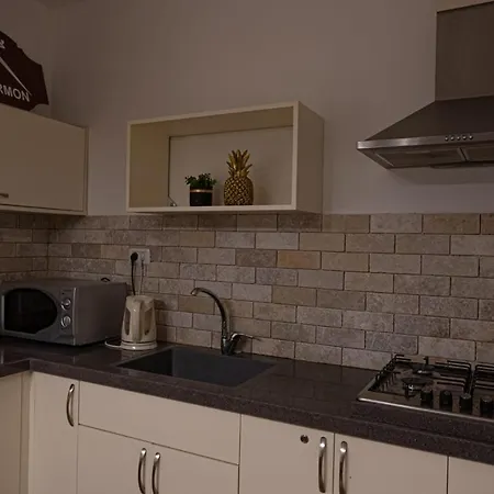 Step To Hermon Big Appartment Majdal Shams Exterior photo