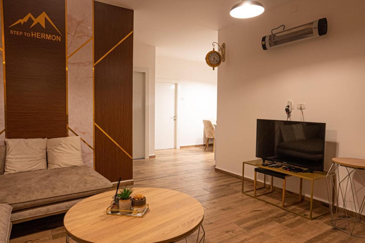 Step To Hermon Big Apartment